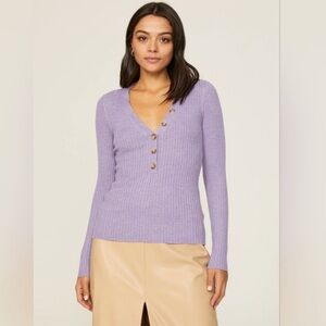 Derek Lam Collective Henley Sweater Purple Ribbed Button V Neck Size Medium